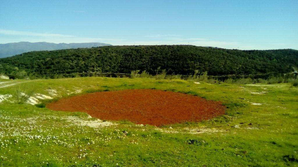 Apartamento O Casa Rural Roquemar Guijo de Granadilla 外观 照片